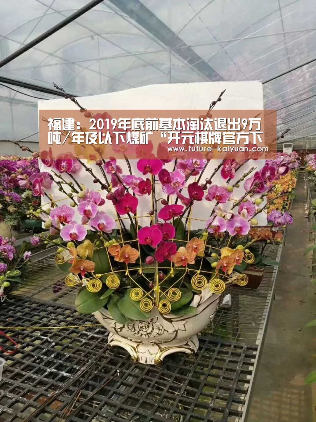 福建:2019年底前基本淘汰退出9万吨/年及以下煤矿“开元棋牌官方下载”(图1) 开元棋牌电脑版